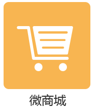 TOPMR 微管家企业版/ERP